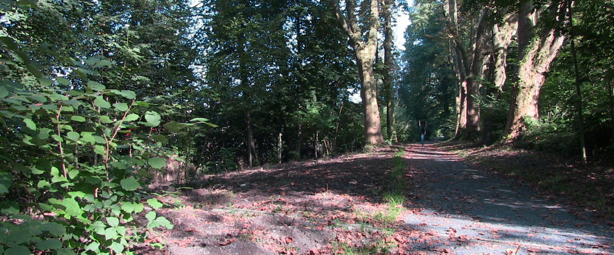 Naturhecke_03
